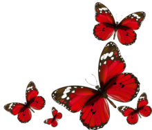 red butterfly